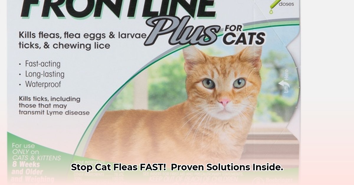tractor-supply-cat-flea-treatment